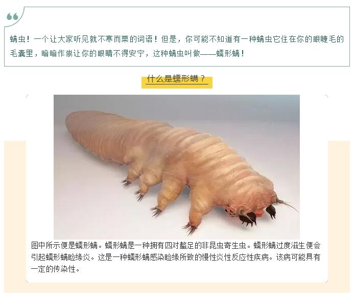小心！你的眼睛可能正在被螨蟲(chóng)肆虐